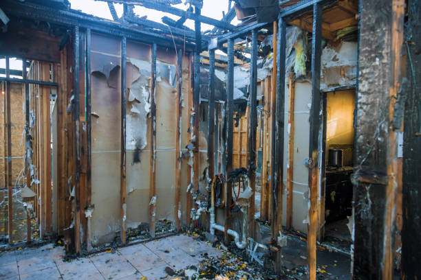 Professional Fire Damage Removal technician working in Auburn, NE